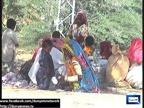 Dunya news-Famine affectees of Thar unaware of Azadi, Inqilab March