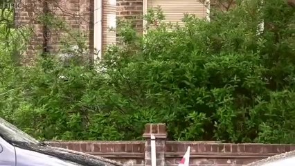 Misery Bear - World Cup