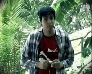 Como Fazer um Curta Experimental, Cult e Pseudo-Intelectual