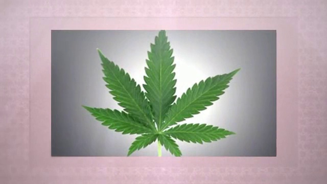 Best Marijuana Investments