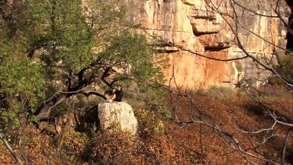 Why not? - Shania Twain Official Trailer in May 8th 2011.mp4