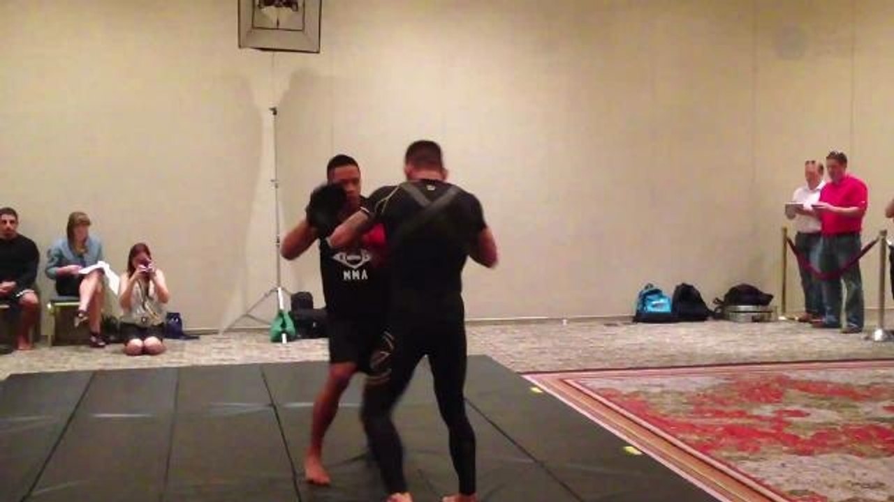 Rafael dos Anjos before UFC Fight Night 49