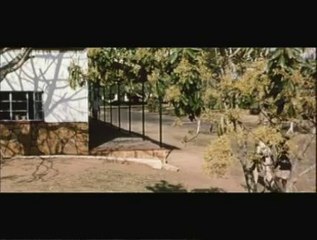 Todestrommeln am grossen Fluss 1964