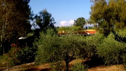 Paesaggio campagne Agro Pontino vicine al mare