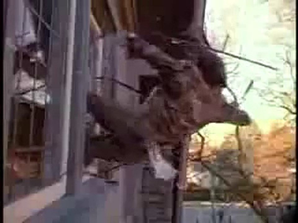 Omen IV: The Awakening (Trailer)