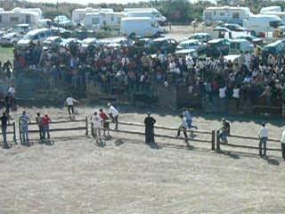 Course taurine à Aigues-Mortes