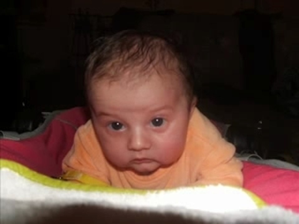 LoReDaNa 2 MoIs