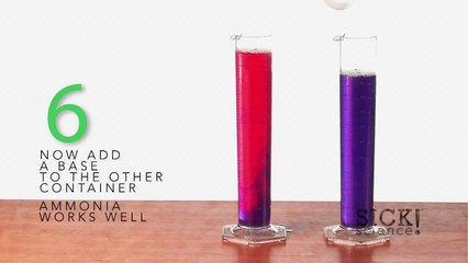 Red Cabbage Chemistry - Sick Science! #105