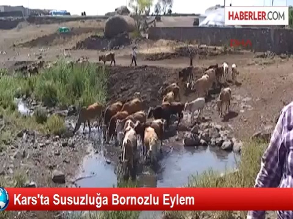 Kars'ta Susuzluğa Bornozlu Eylem