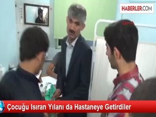 Çocuğu Isıran Yılanı da Hastaneye Getirdiler