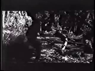 The Alligator People Trailer (1959)