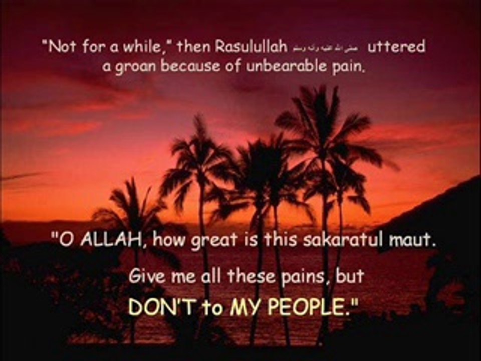 The Tears of Rasulullah ( S.A.W )