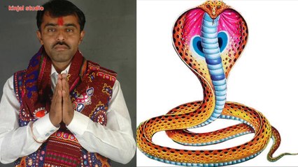 halariya - goga rana rahejo - singer - vishnu maldhari