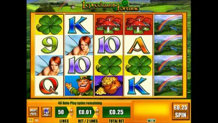 Leprechauns Fortune Slot Game