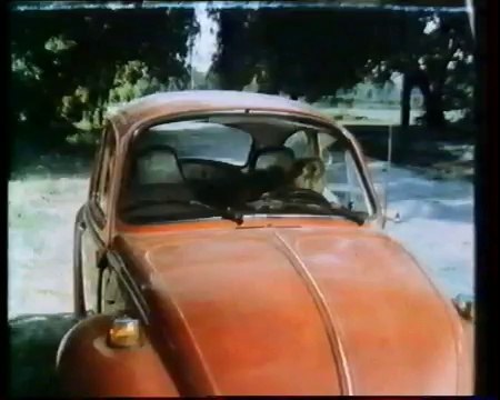 The Savage Bees (Les Abeilles féroces) - Bruce Geller - 1976