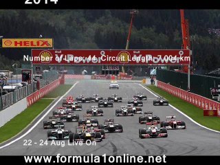 watch Formula One Belgian gp 2014 live on pc