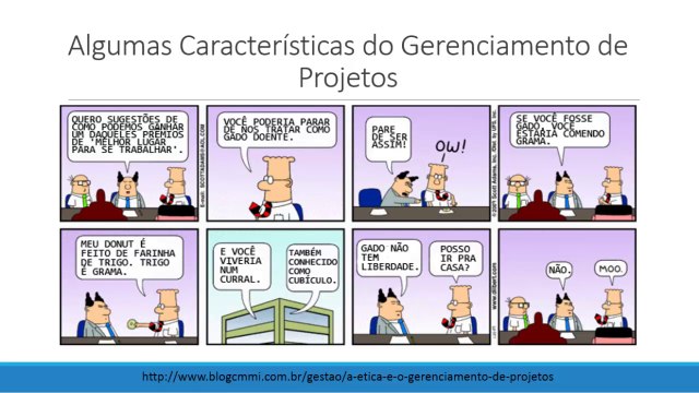 AMA Manual de Gerenciamento de Projetos #2