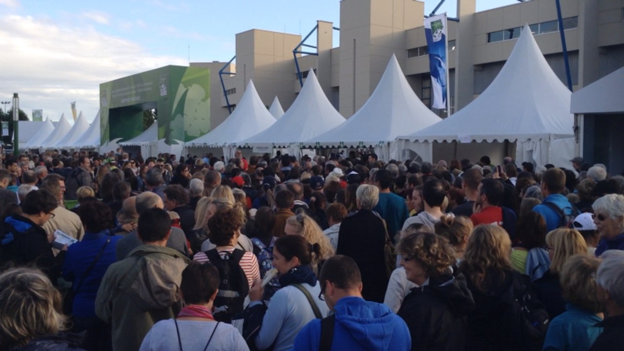 Jeux équestres mondiaux