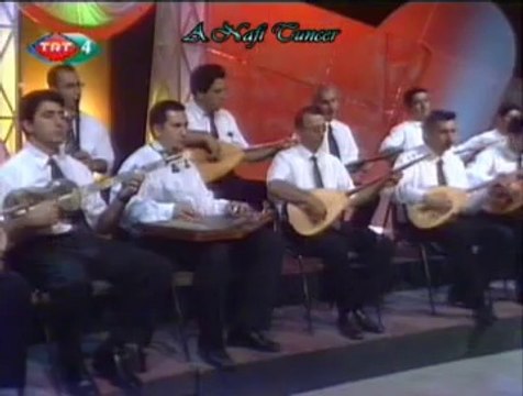 Yılmaz DEMİRTAŞ-Bağa Vardım Nar İçin