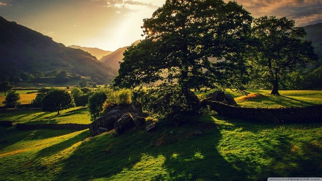 ENJOY THE SILENCE Depeche Mode cover