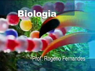 BIOLOGIA ESPONJAS (PARAZOÁRIOS)