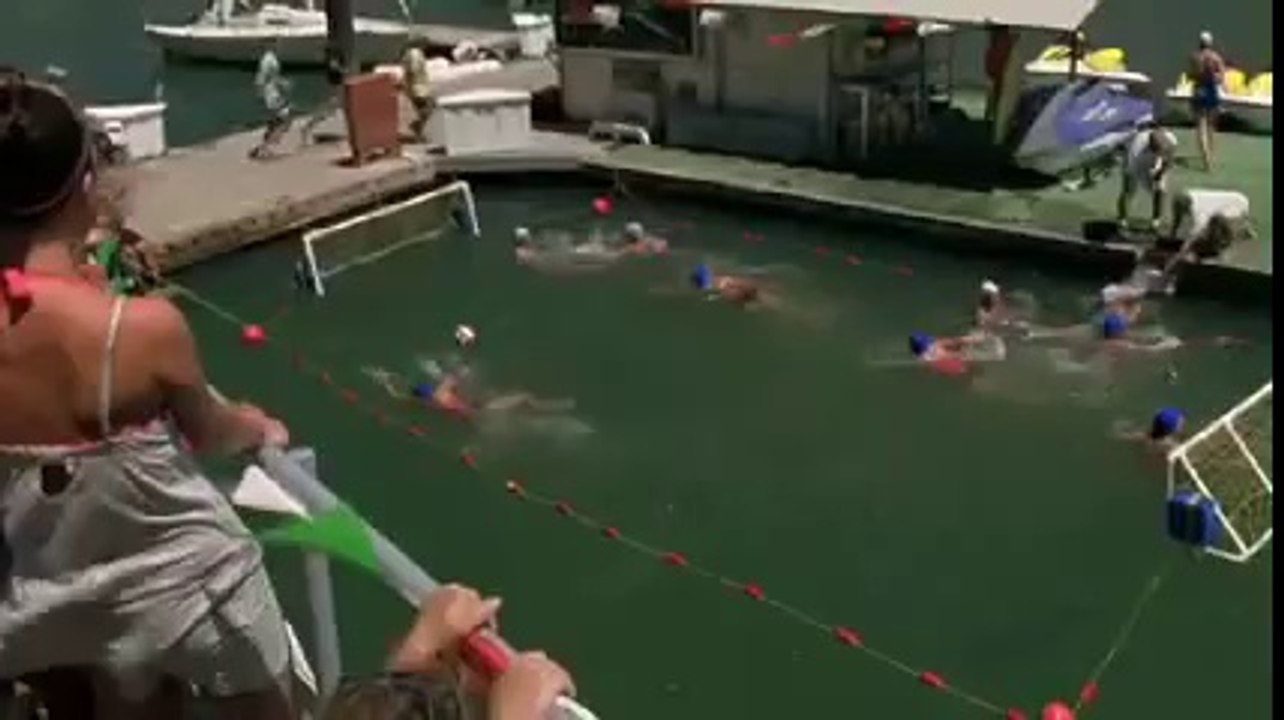 DINOSHARK INTERNATIONAL TRAILER