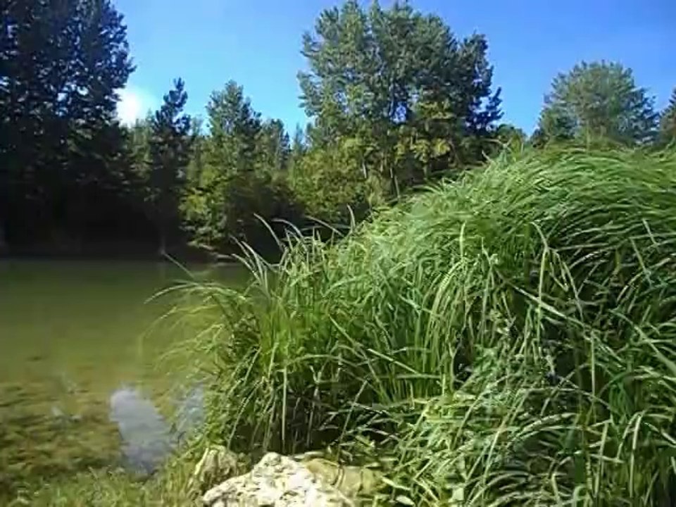 Gens de Garonne 2