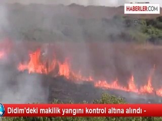 Didim'deki makilik yangını kontrol altına alındı