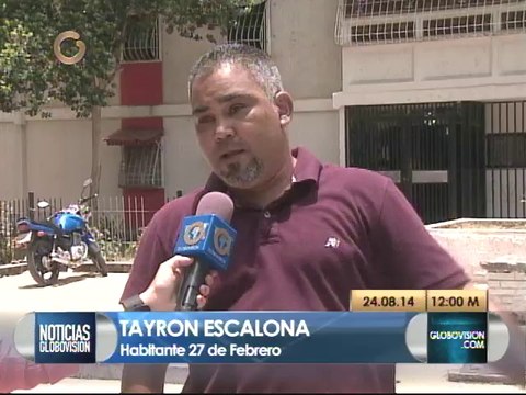 Caracoles africanos reaparecen en Guarenas