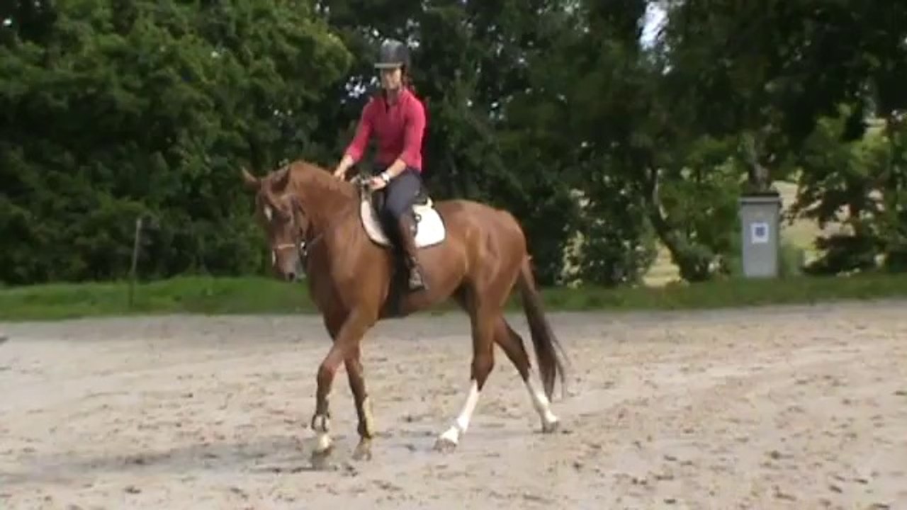 20140823 Tsar Sandillon le pas