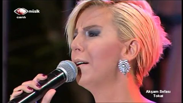 Ayşe İnak Ekiz-Şimdi Uzaklardasın