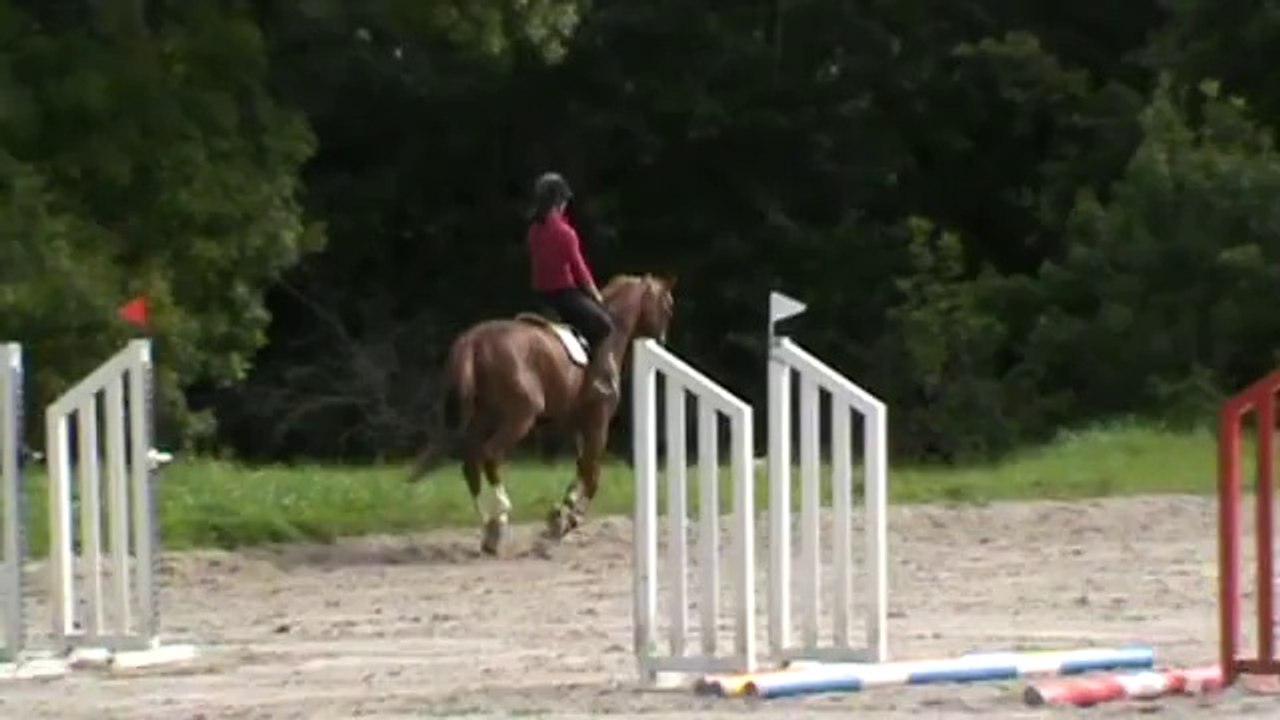 20140823 Tsar Sandillon galop à droite