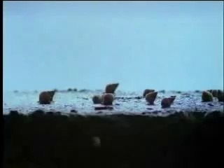 Thicker Than Water Trailer