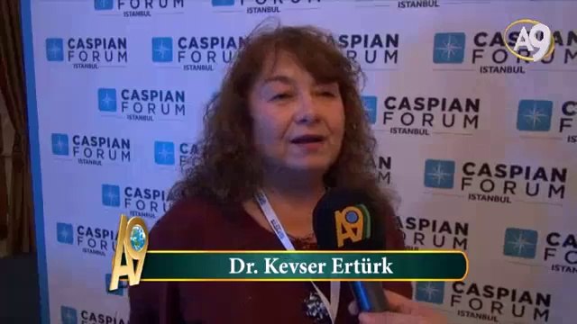 Dr. Kevser Ertürk, Mimar Sinan Üniversitesi