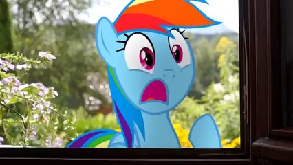 Rainbow Dash's Precious Book MLP in real life part 4