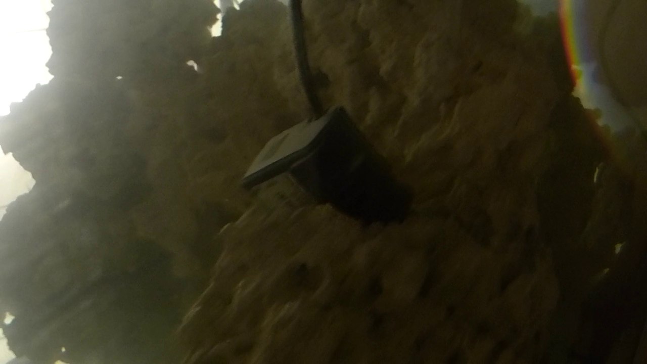 Recifal 200 litres - Démarrage 23 août 2014