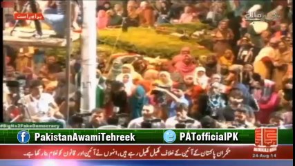 Ali Muhammad Khan's (PTI) Speech at Inqilab March - 24 AUG 2014