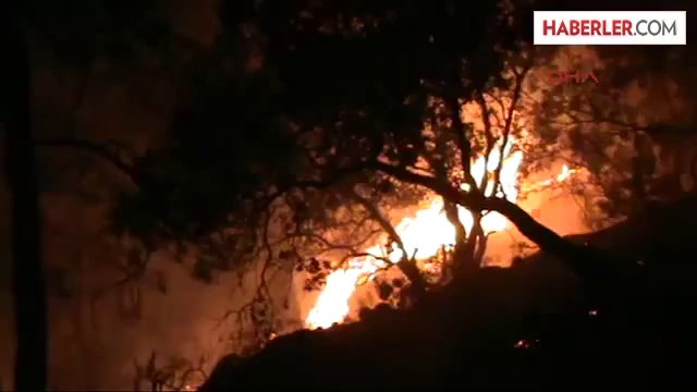 Muğla'nın Ortaca İlçesi'nde, Oteller Bölgesinde Kızılçam Ormanın Bulunduğu Alanda Bir Haftada...