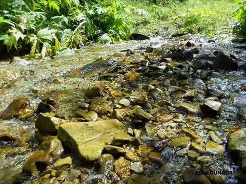 Ardahan Posof Videosu 2014 @ Mehmet Ali Arslan Videos