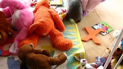 Who Is Bob Beckel? The Surprising Truth Behind the Controversial Commentator