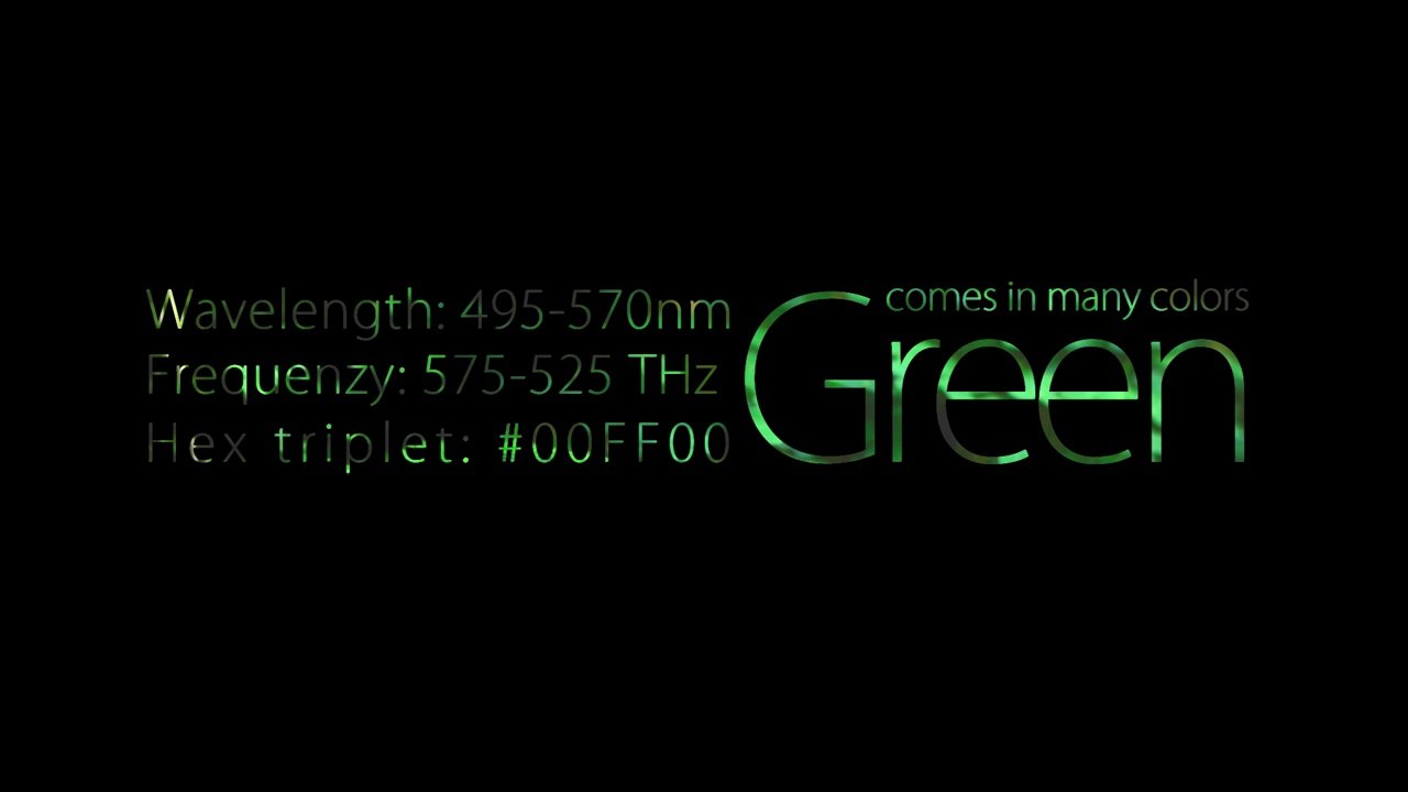 relaxdaily - Forest - teaser.
