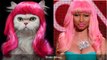 Cats Who Look Like Famous People II Funny Cats.
