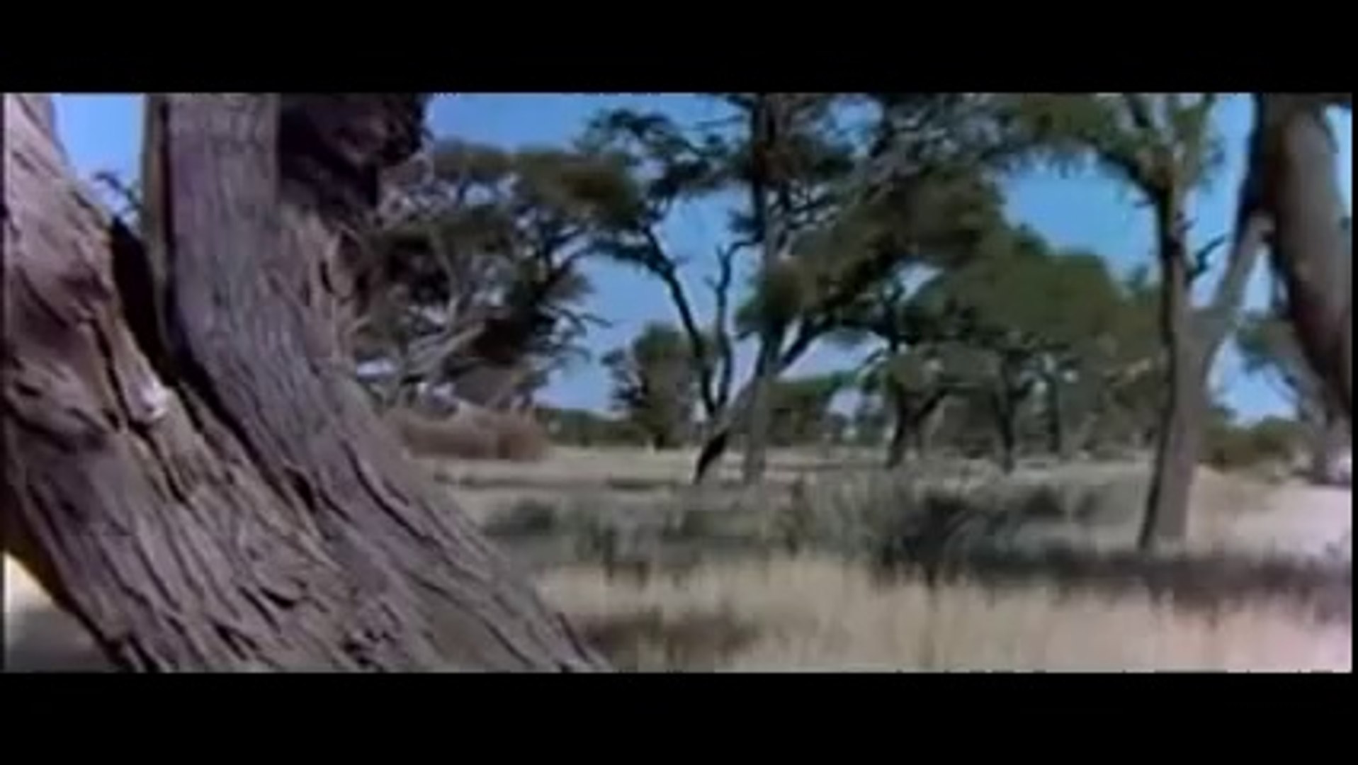 The Gods must be crazy  II Theme / Soundtrack