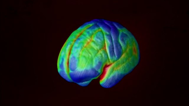 داخل الجسم البشرى الحلقه الثالثه بناء الدماغ BBC