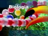 BIOLOGIA CORDADOS