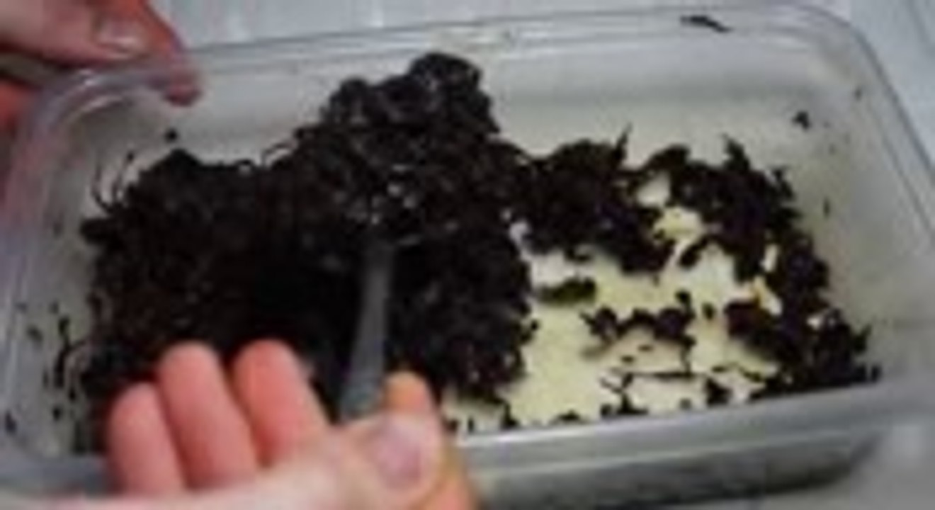 Make Hookah Flavour at Home