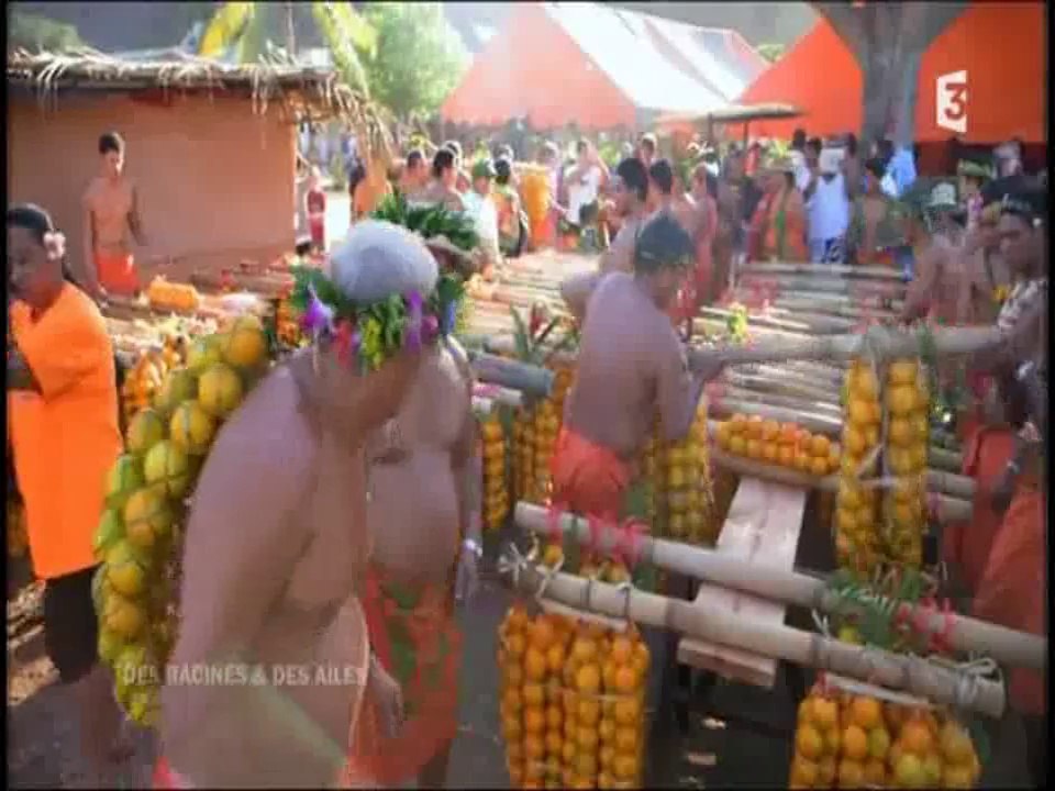 DES RACINES ET DES AILES POLYNESIE