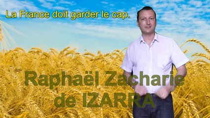 Aigle vert postule pour piloter vaisseau lunaire avec du riz de Mars dans les cales - Raphaël Zacharie de IZARRA
